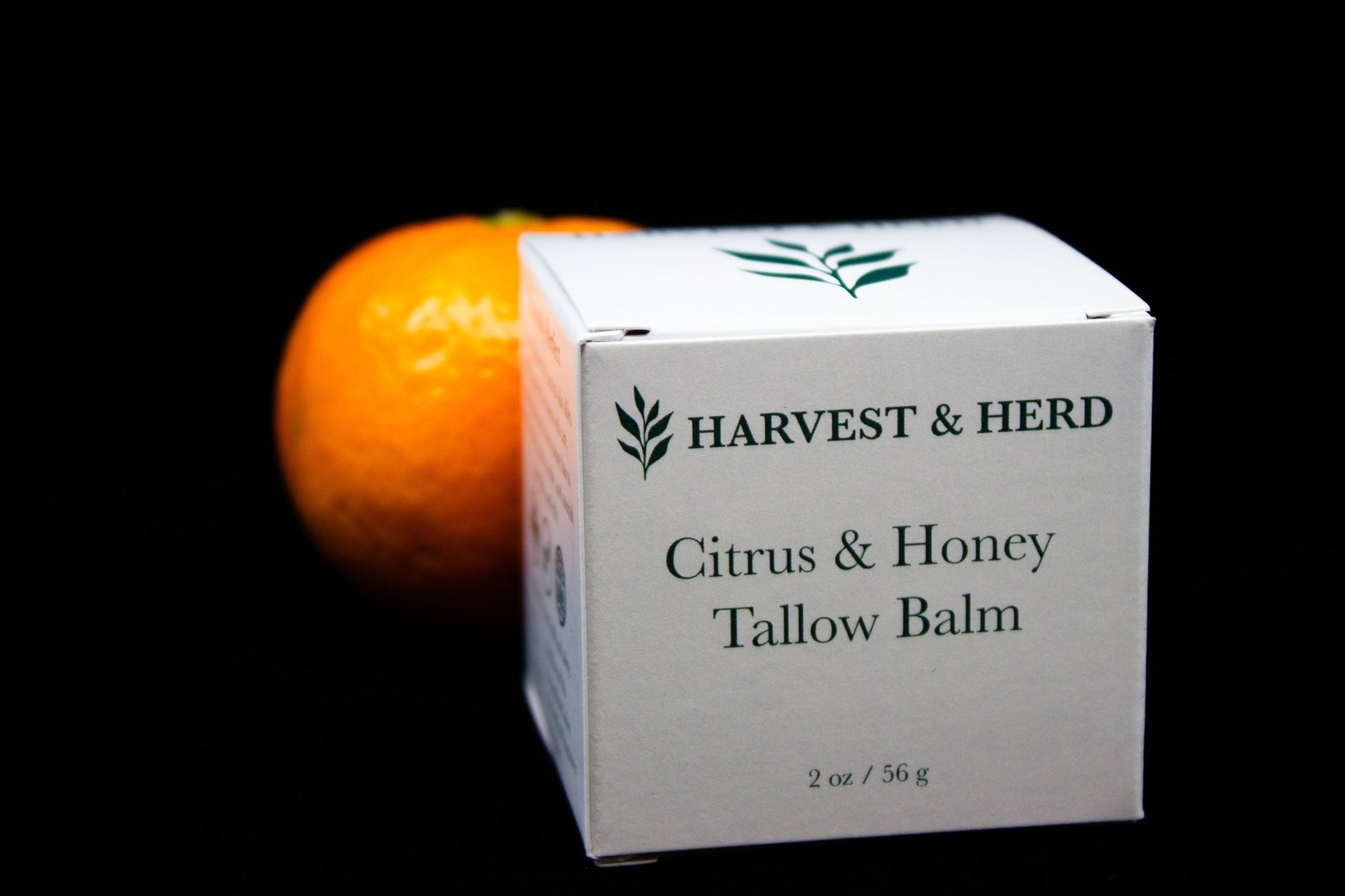 Citrus & Honey Tallow Balm - Harvest & Herd Co.