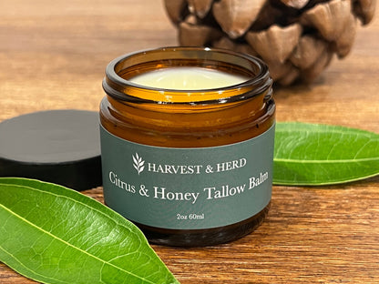 Citrus & Honey Tallow Balm - Harvest & Herd Co.