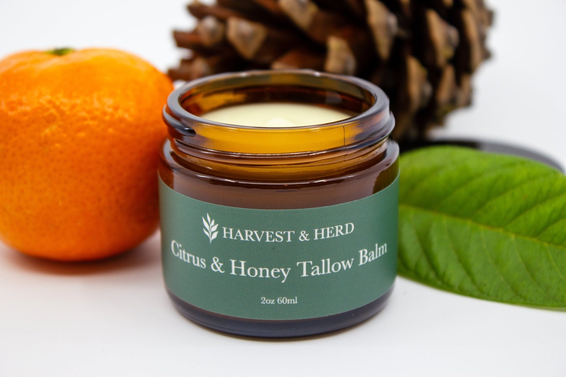 Citrus & Honey Tallow Balm - Harvest & Herd Co.