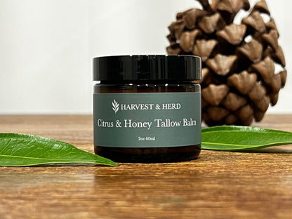 Citrus & Honey Tallow Balm - Harvest & Herd Co.